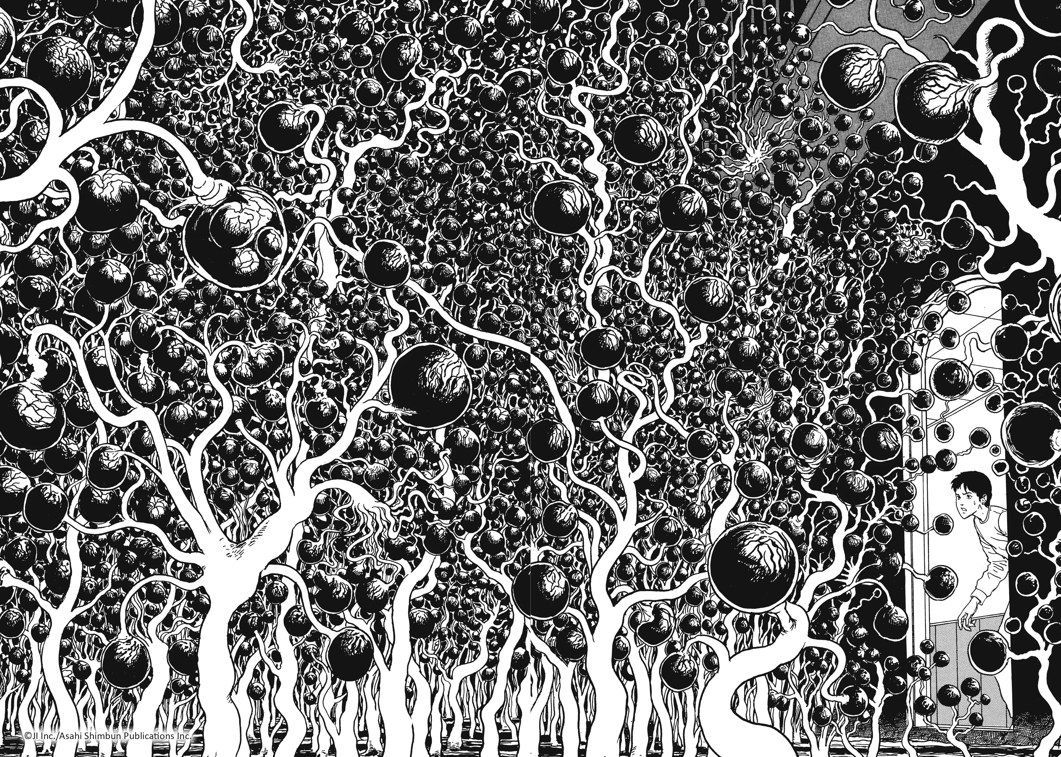 Miniature 6