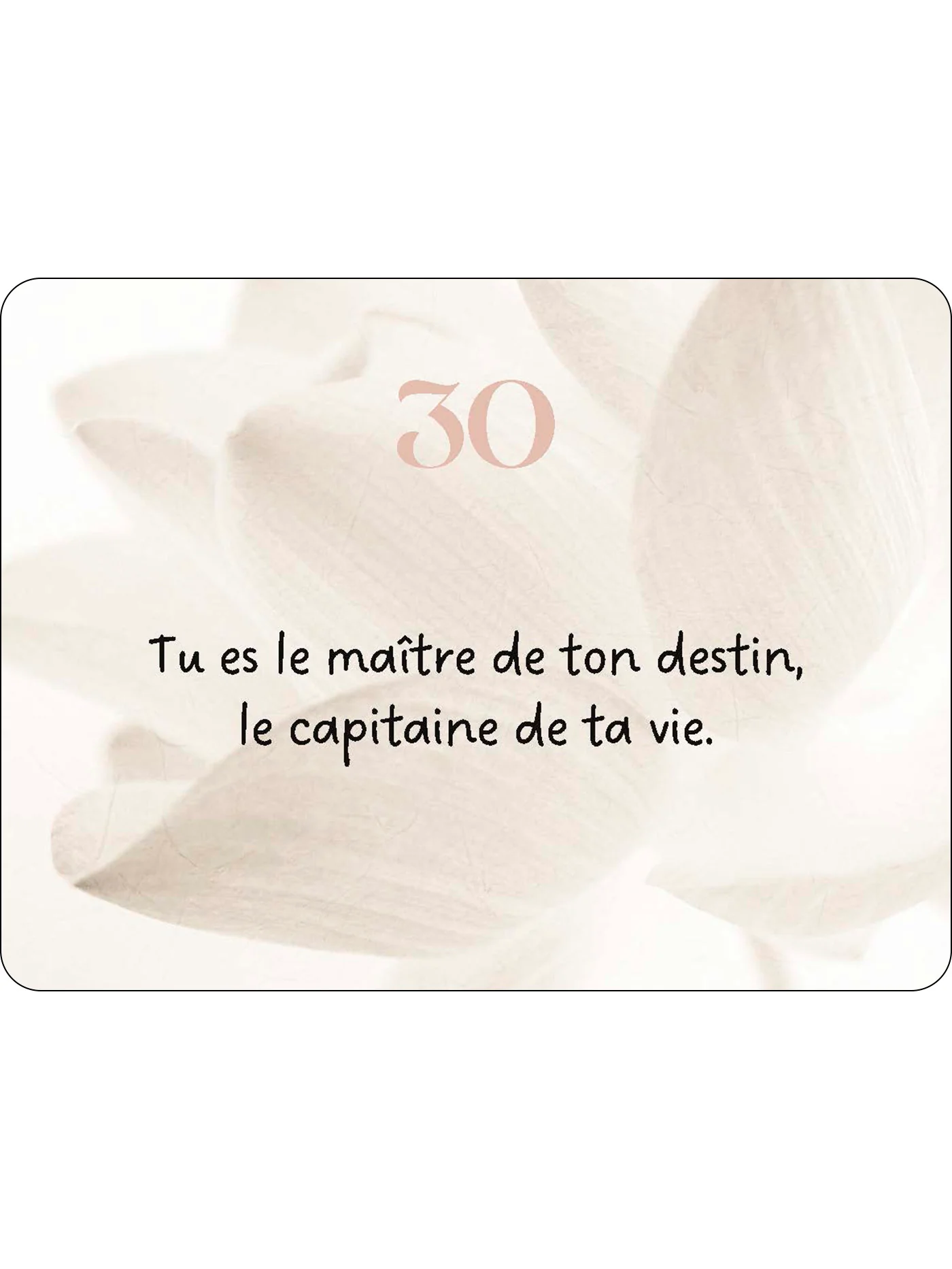 Miniature 18