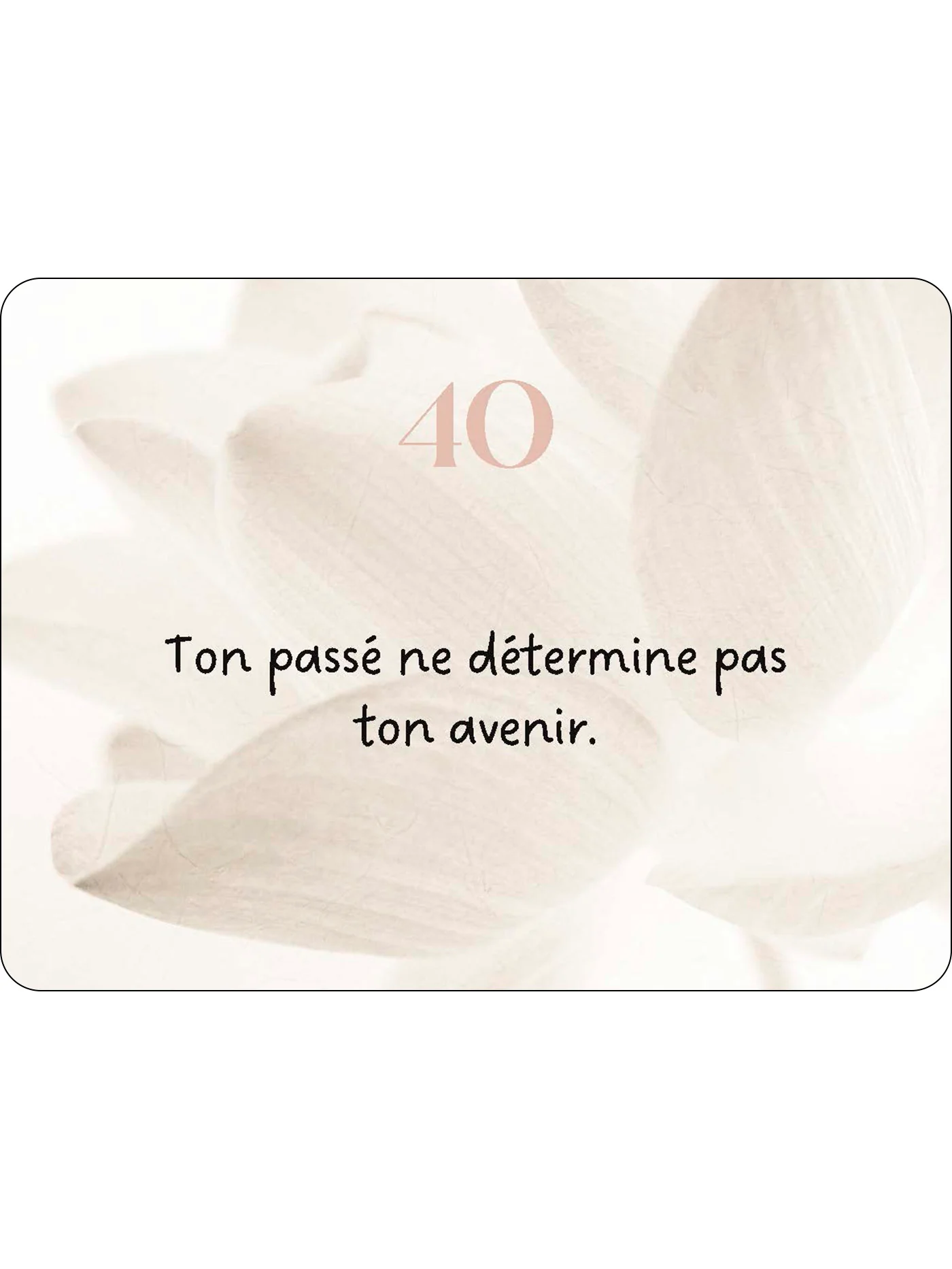Miniature 19