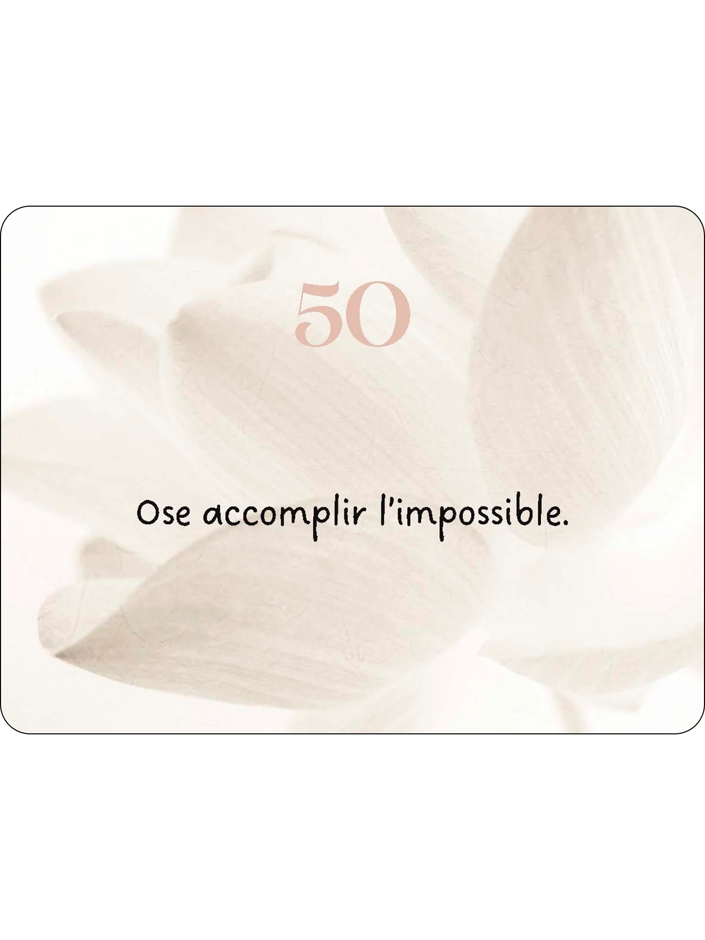 Miniature 41
