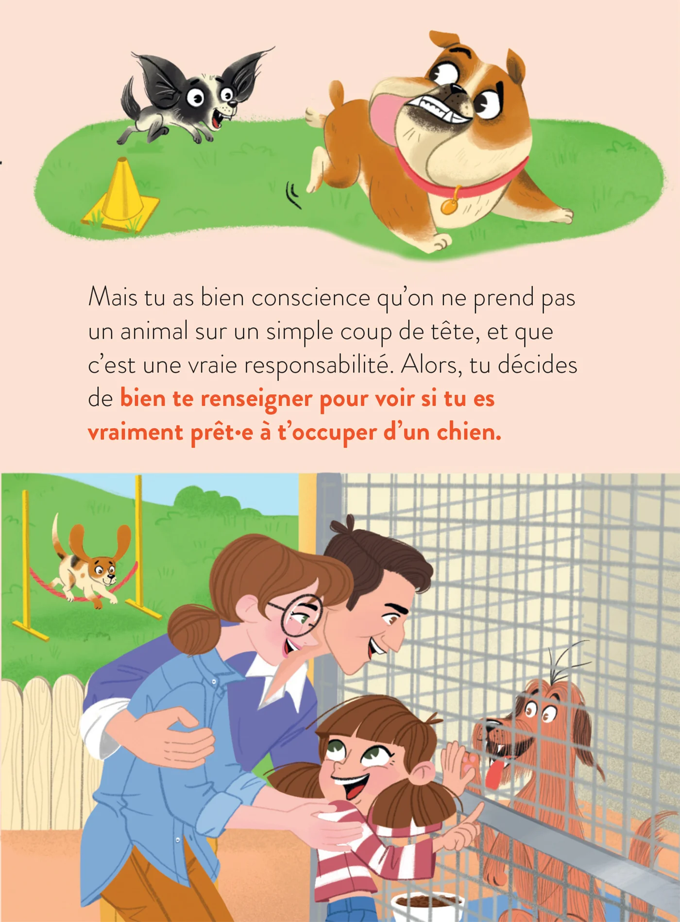 Miniature 5